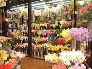 「フローリスト赤キ屋」　（東京都大田区）の花屋店舗写真2